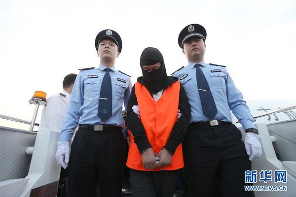 Marine biologists found that seagrass beds are disappearing at a rate of 8% per year