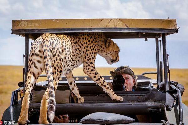 Music festival announces headliners including Grammy award winning artists