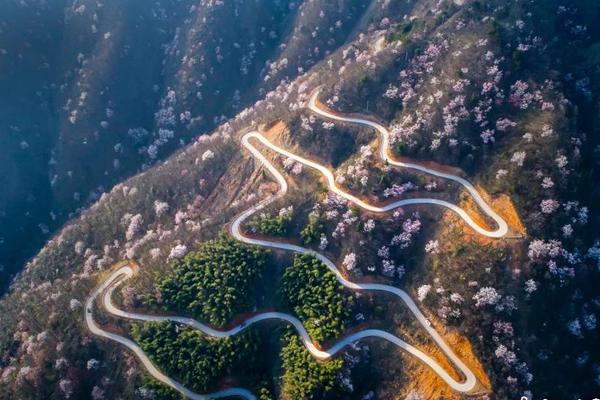 A hotel started offering