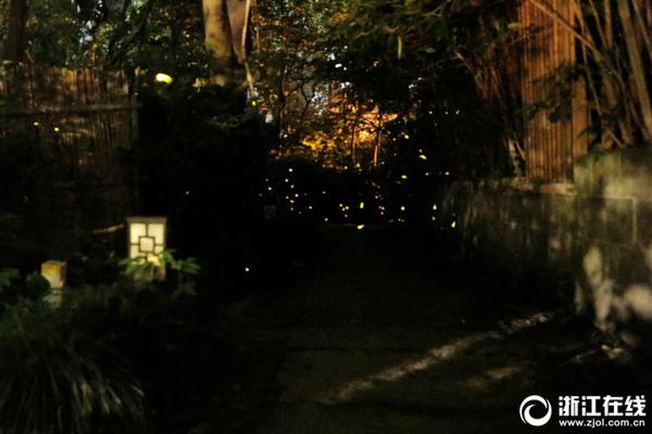 A new study showed that drinking enough water can improve metabolism and energy levels