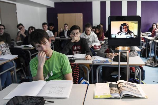 Researchers studied the impact of urbanization on local bird populations