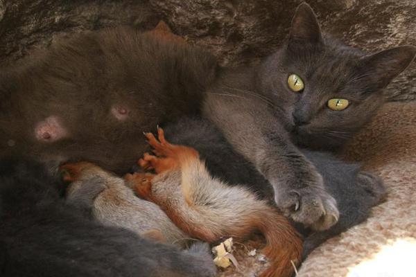 A music festival raised $2 million for local homeless shelters through ticket sales