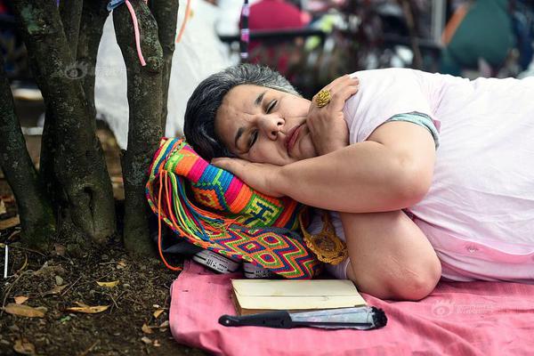 A new animal shelter opened to provide care for stray cats and dogs in the city
