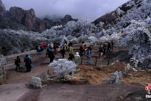 Hospital introduces new robotic surgery system to improve precision in orthopedic procedures