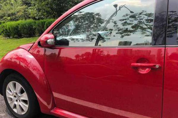 A research team studied the effects of diet on heart health