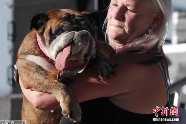 A pet rescue organization held a puppy yoga event to raise funds