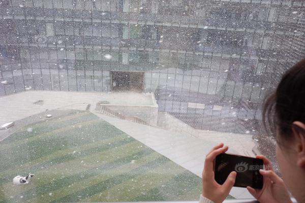 A clothing store launched an online website, allowing customers to shop from anywhere in the country