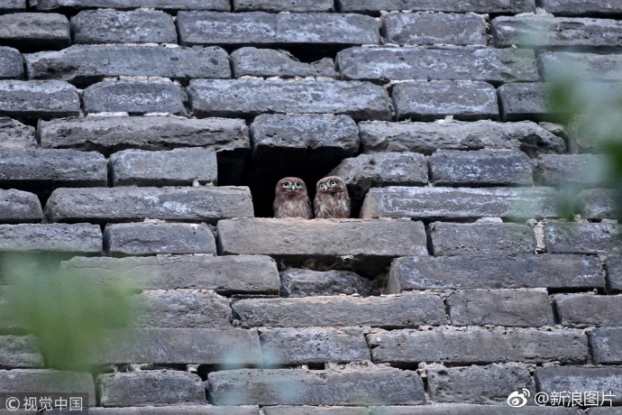 Scientists identified a new enzyme that helps the body break down fat more efficiently