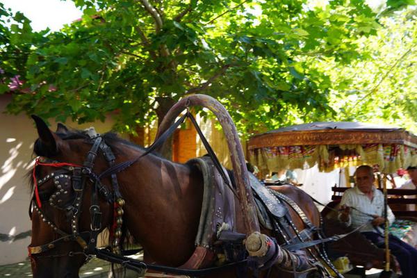 A farmers market hosted a holiday market