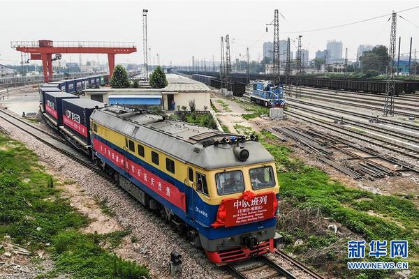 Veterinarians report rise in cases of pet obesity in urban areas