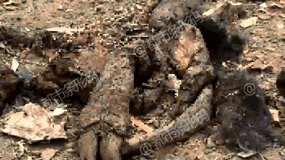 The national tennis team won an international tournament