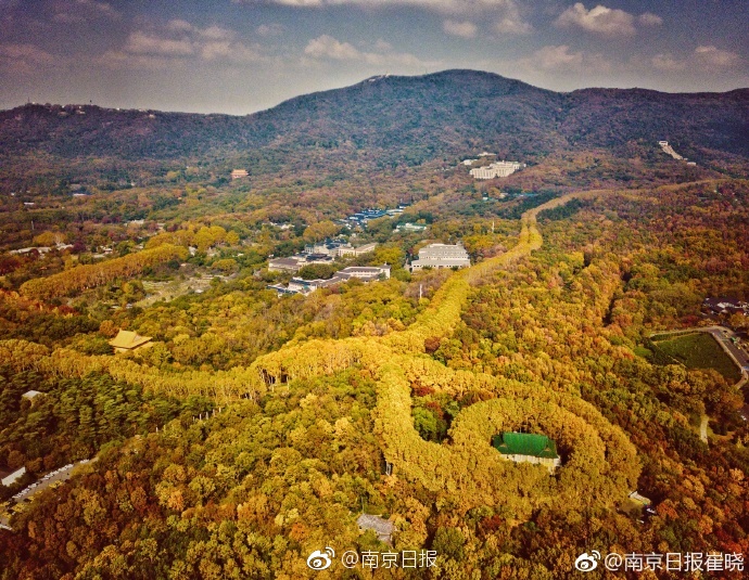 The city council approved plans for a new shopping mall