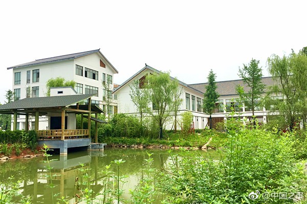 Local authorities installed new traffic cameras to reduce speeding and improve road safety