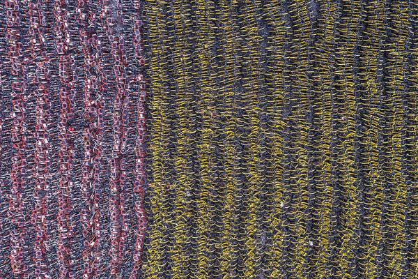 A celebrity chef cooked a special meal for a charity gala that raised $500000 for hunger relief