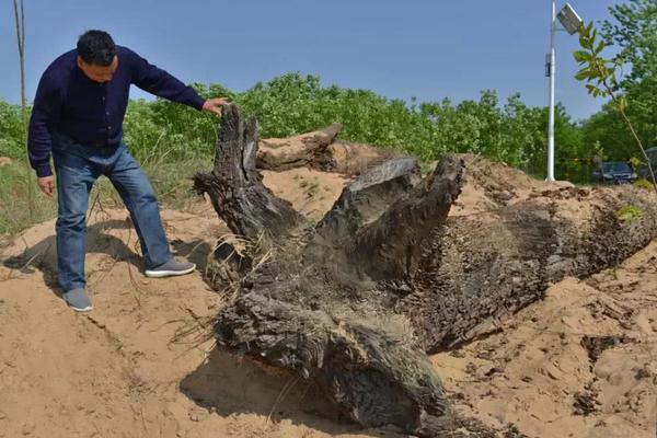 School district provides free laptops to students from low income households