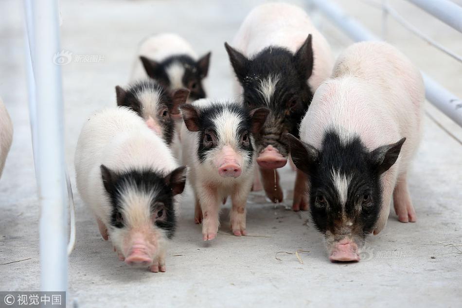 Running club hosts 10k race to raise money for local children’s hospital