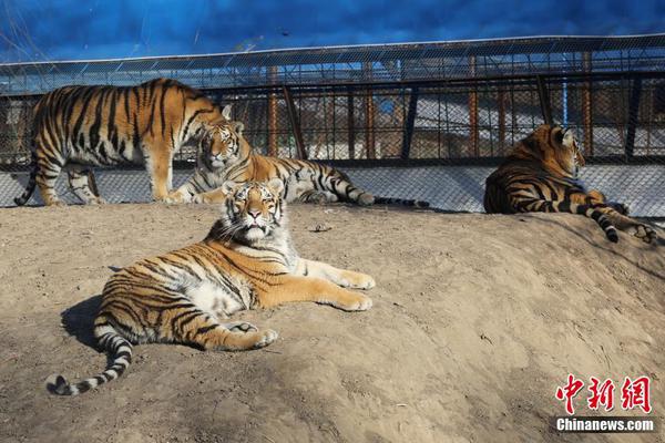 Research finds that drinking warm milk before bed improves sleep quality