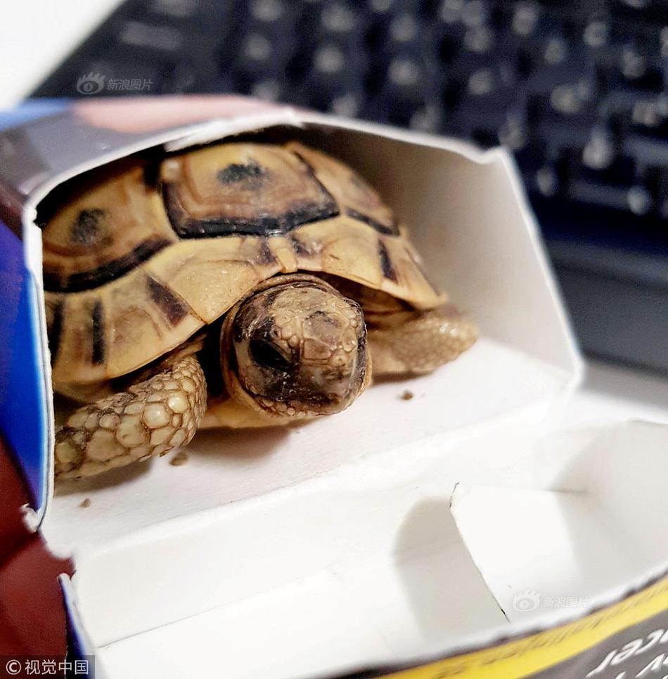 An energy company announced it would close three coal-fired power plants and invest in solar energy