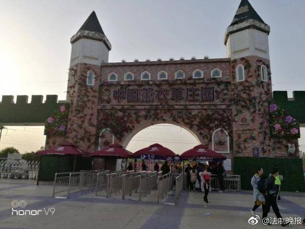 Research finds that outdoor play improves motor skills in young children