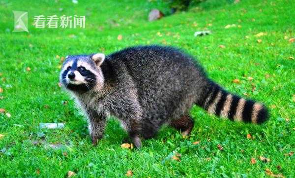 Car dealership offers test drives of electric vehicles