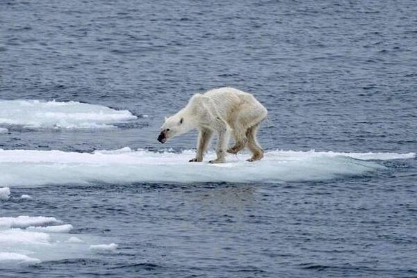 School district approves new curriculum focused on environmental education