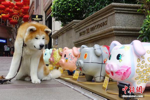 The national railway service announced it would be upgrading its trains to provide faster and more comfortable travel for passengers.