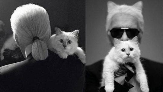 Art museum acquires rare painting by 19th century artist for its permanent collection