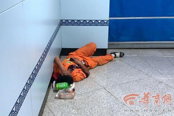 Scientists discovered a new species of marine life in the deep ocean using a remotely operated underwater vehicle