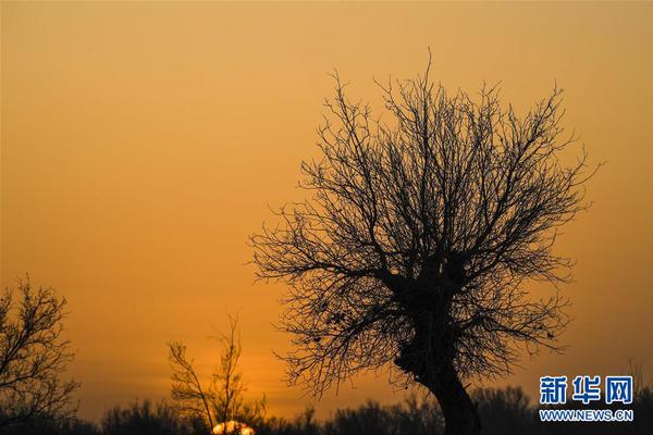 Researchers found that regular exercise can improve mood and reduce anxiety