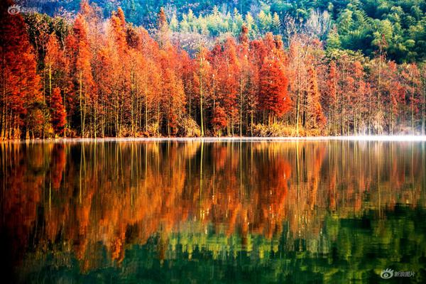 Researchers studied the effects of social media on mental health in teenagers