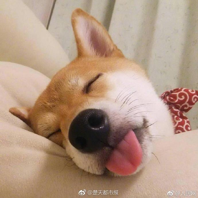 A global summit on public health concluded with a plan to improve access to vaccines in developing countries