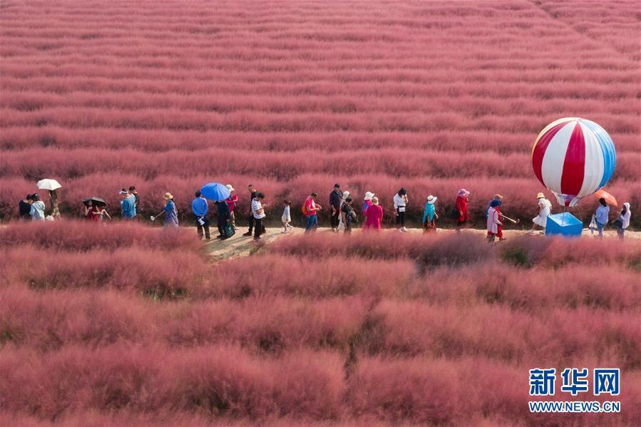 Middle school students designed a solar-powered water purification system for remote communities