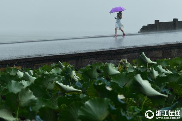 The mayor announced a plan to plant 12000 trees in the city over the next four years