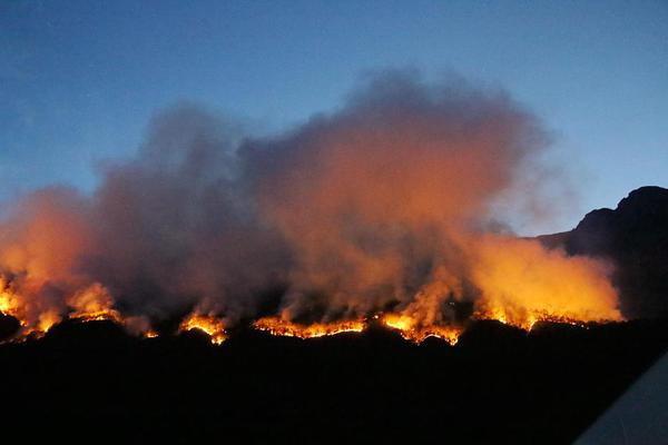 Research finds that board games improve social skills in shy children