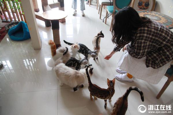 A pet groomer started offering mobile services for customers who can’t bring their pets to the salon