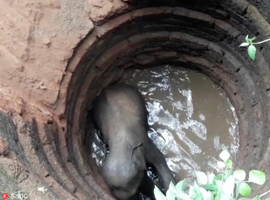 A restaurant started offering happy hour specials on appetizers and drinks