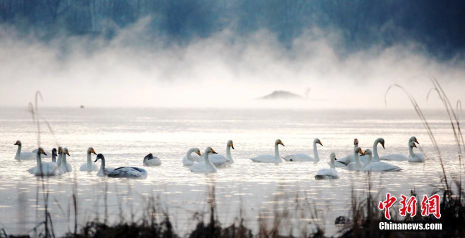 A soccer club signed a star player for a record $150 million transfer fee