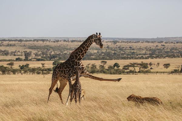 A fashion store started selling sustainable denim made from recycled cotton