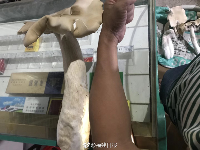 Astronomers discover new exoplanet in habitable zone of distant star