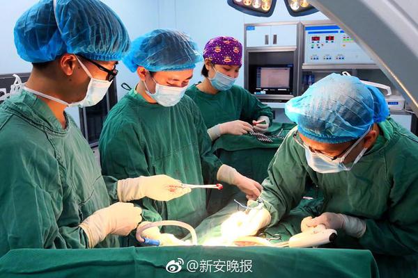 Biologists develop new method to protect honeybees from pesticides