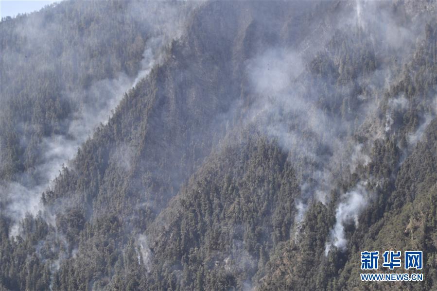 A famous singer released a charity single to raise money for disaster relief efforts