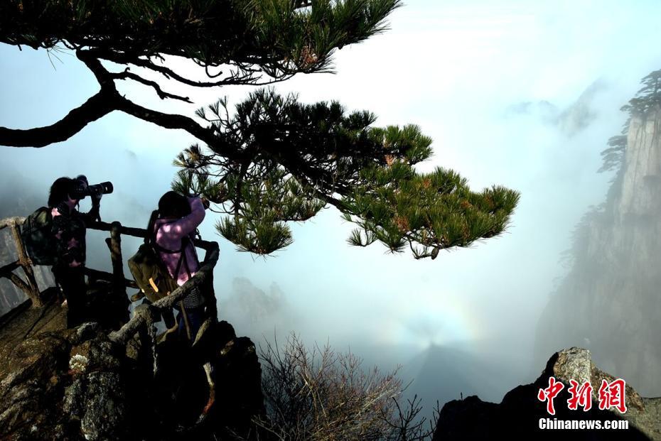 Wildlife rescue group transports injured owl to rehabilitation center