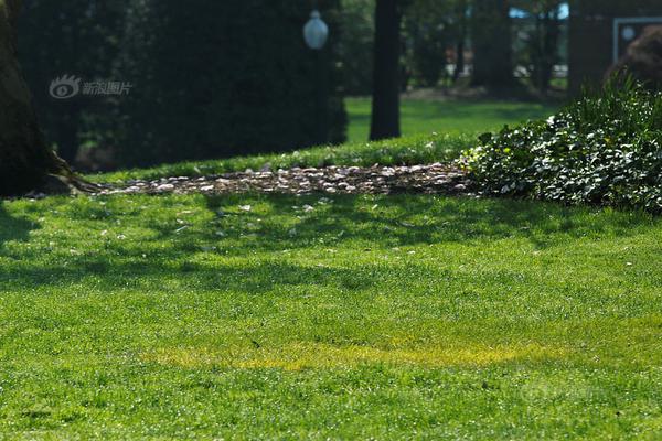 A local basketball team won the national championship after defeating the defending champions