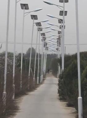 The government announced a new program to help homeless people find permanent housing with a budget of $150 million