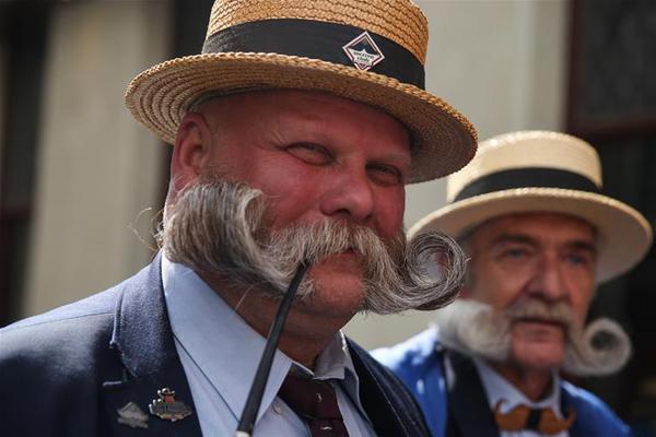 A city hosted a book festival that featured author talks and book signings