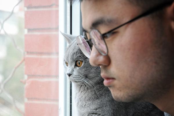 A farm started selling organic eggs which quickly became a bestseller at local markets