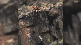 A tech company released a new software update to fix security issues