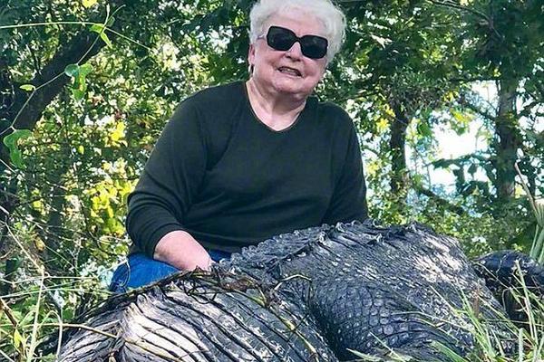 Researchers discovered that certain plants can remove harmful chemicals from the soil