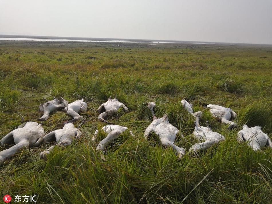 A school district started a summer school program for students needing extra help in math and reading