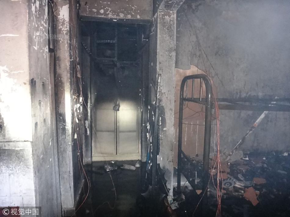 A community organization planted 200 saplings in a city park to replace trees lost to a storm